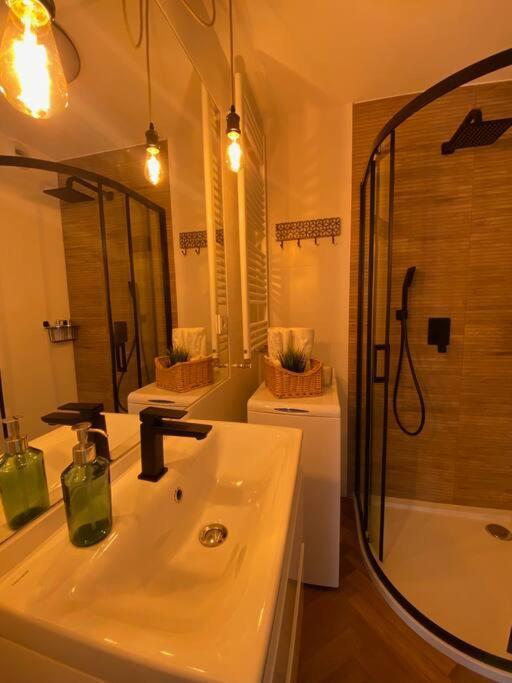 Art Marina Nad Rzeka Z Bezplatnym Parkingiem Apartment วรอตซวาฟ ภายนอก รูปภาพ